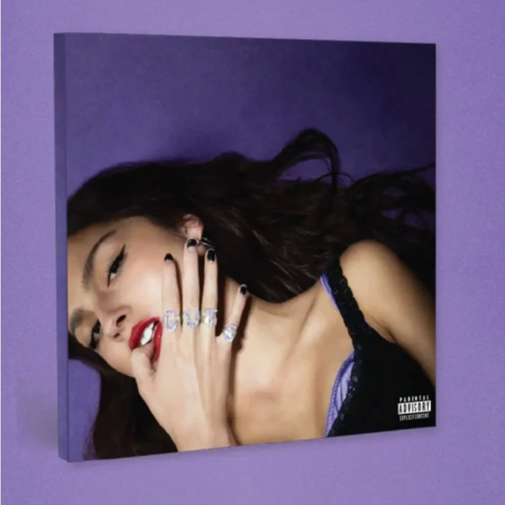 OLIVIA RODRIGO Vinyl Slipcase - Picture 4 of 5